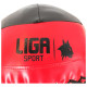 Liga Wall Ball 10 Kg